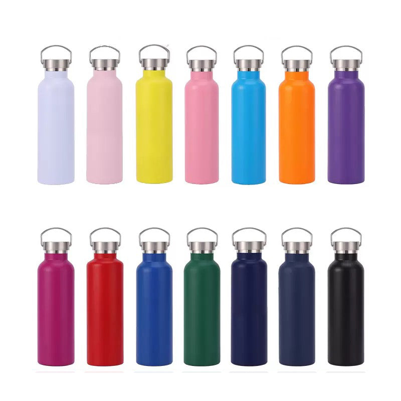 20oz Double Wall Stainless Steel Bottle