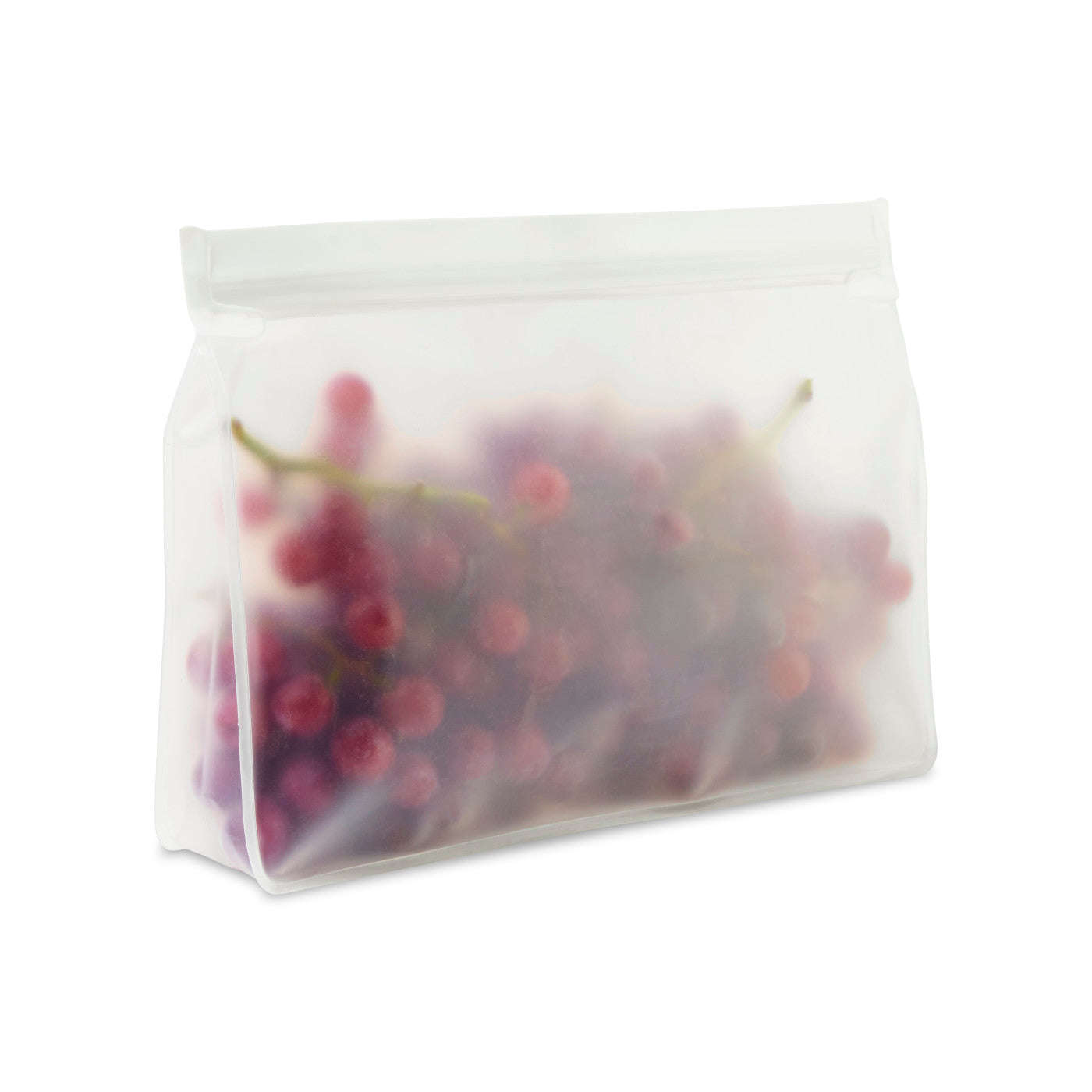 Reusable Stand Up Storage Bag