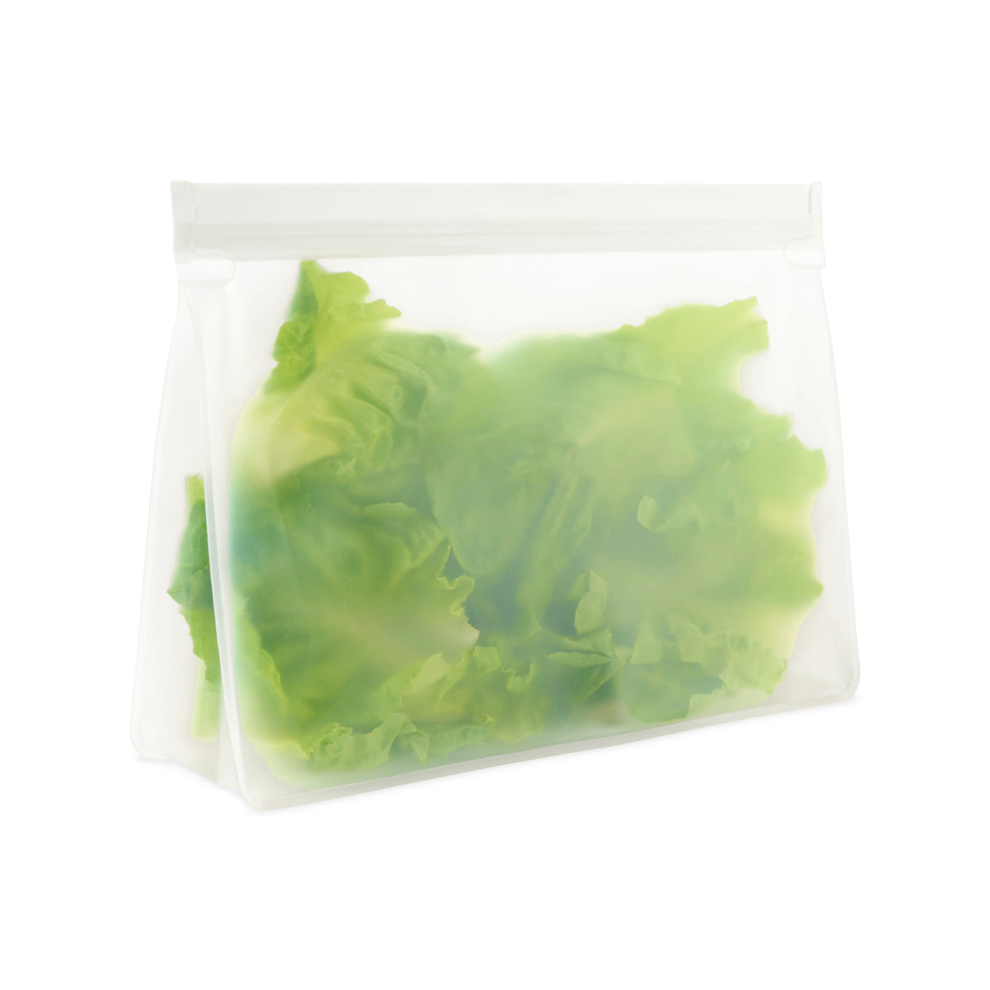 Reusable Stand Up Storage Bag