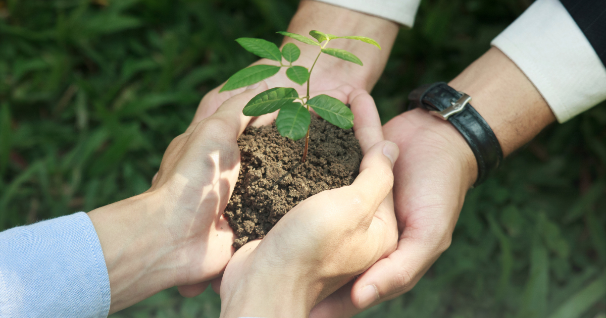 23 Fun Earth Day Ideas for Work